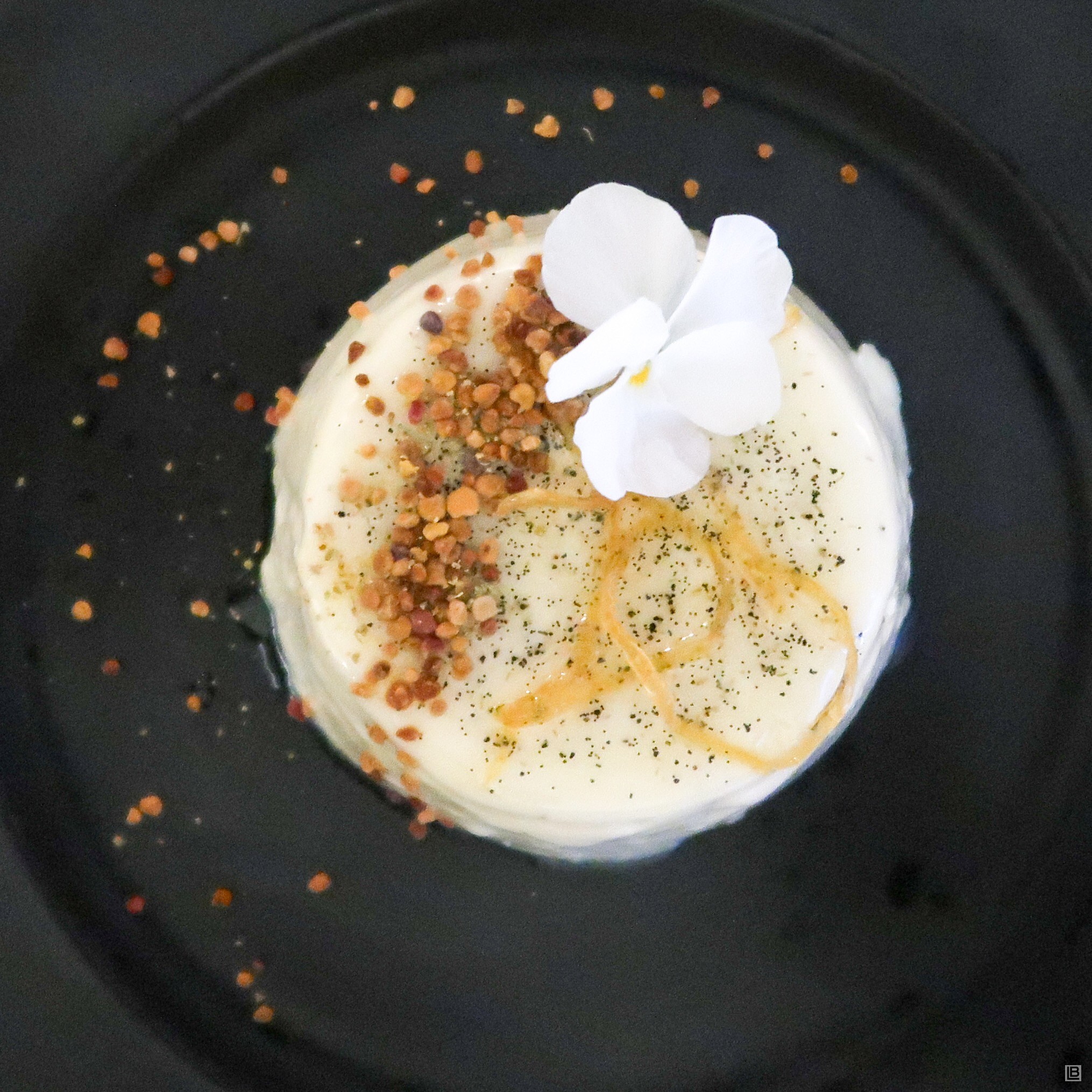 FENNEL POLLEN PANNACOTTA WITH ORANGE-BLOSSOM HONEY AND WHITE CHOCOLATE